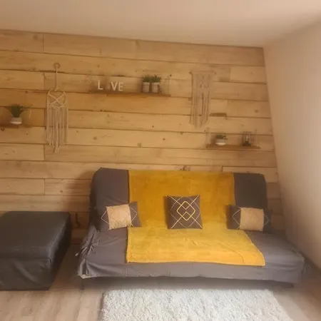 아파트 Grand 28 M2 Confort Au Pieds Des Pistes *