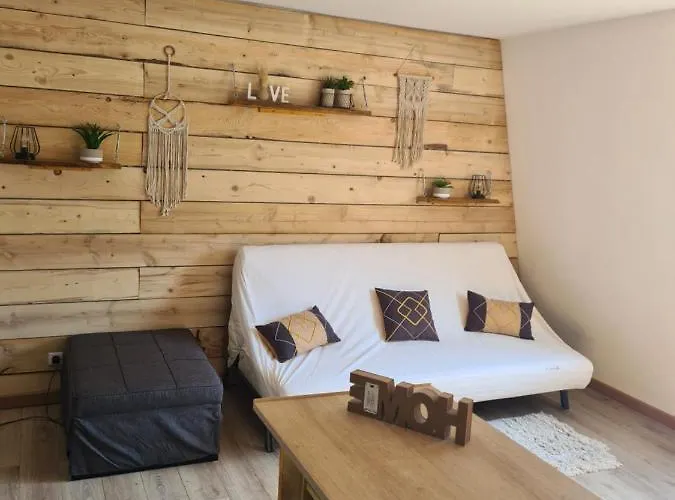 Grand 28 M2 Confort Au Pieds Des Pistes